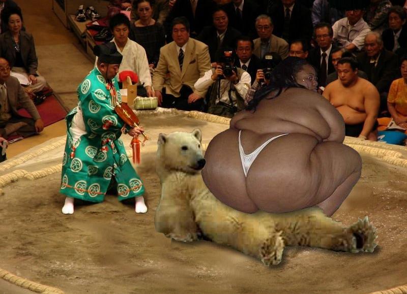 Female Sumo