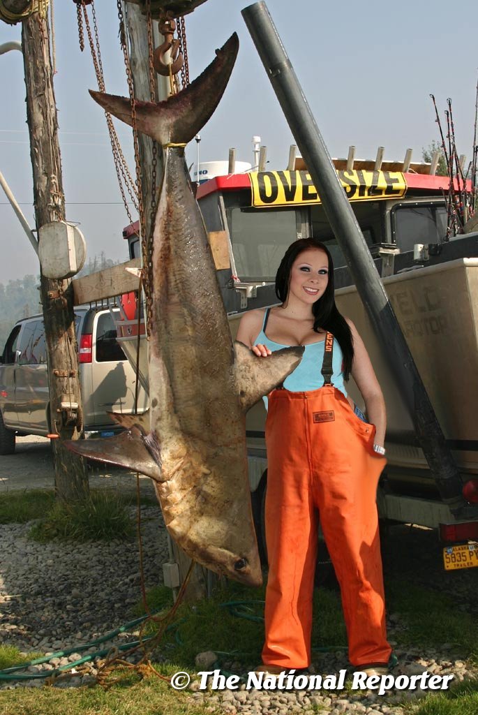 Adult film star Gianna Michaels single handedly lands 1200 pound shark